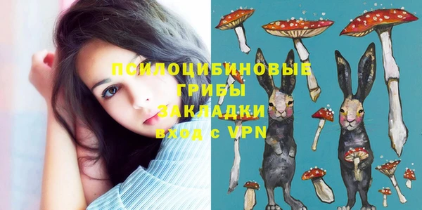 индика Белокуриха