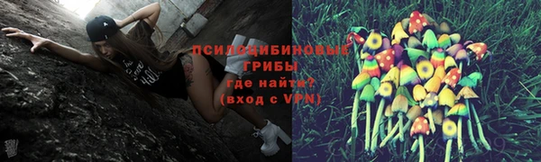 гидра Баксан