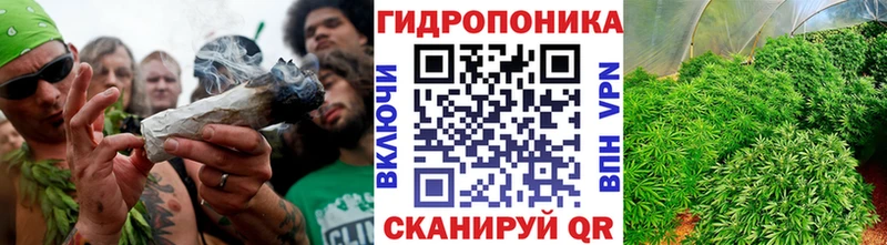 Шишки марихуана LSD WEED Болохово